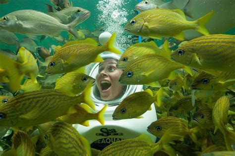 Walk Underwater At This Incredible Aquarium Attraction In Florida