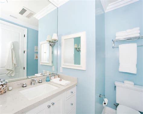 Powder Blue Paint Color Houzz