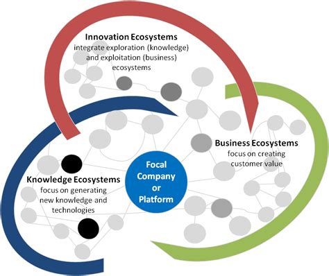 Business Innovation And Knowledge Ecosystems How They Differ And How