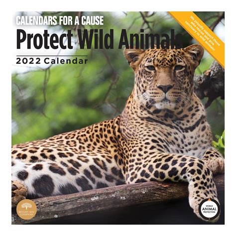 Buy 2022 Protect Wild Animals Wall By Bright Day 12 X 12 Inch Rescue