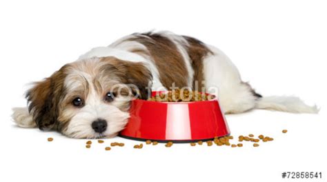 The Humanization Of Pet Foods Is Leading To Market Growth