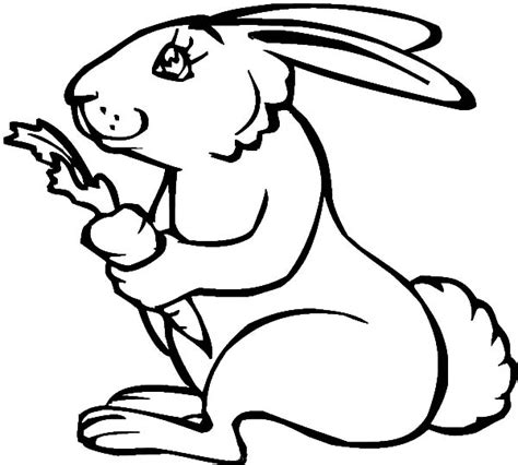 Search through 623,989 free printable colorings at getcolorings. Rabbit Holding Carrot Coloring Pages : Best Place to Color