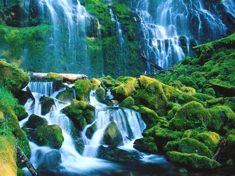 1516 Waterfall Hd Wallpapers Backgrounds Wallpaper Abyss