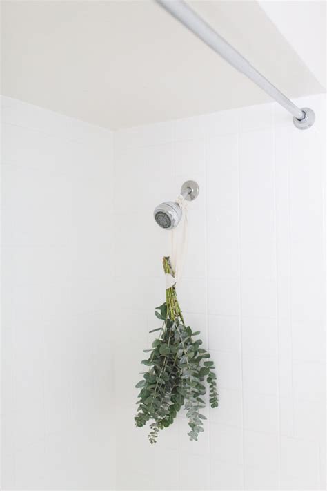 How To Hang Eucalyptus In The Shower Orlando Photography And Lifestyle