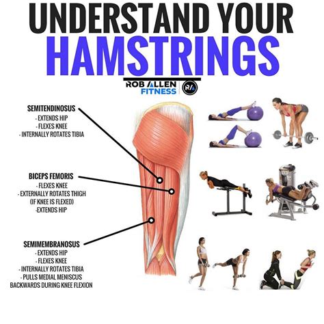 Will 4 Exercises Build And Strengthen Glutes And Hamstrings Yes We