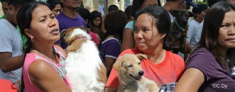 The country has secured enough doses for its entire population of 32. Rabies Vaccine Malaysia - Cross Border Strays Keep Rabies ...