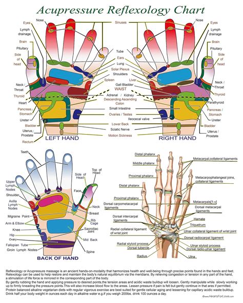 Acupressure Reflexology Chart With Precise Hand Diagrams Etsy Canada