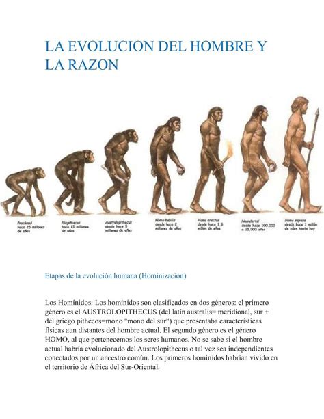 La Evolucion Del Hombre Y La Razon Evolucion Del Hombre Evolucion Evolución Humana