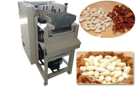 Wet Type Almond Peeling Machine With Factory Price
