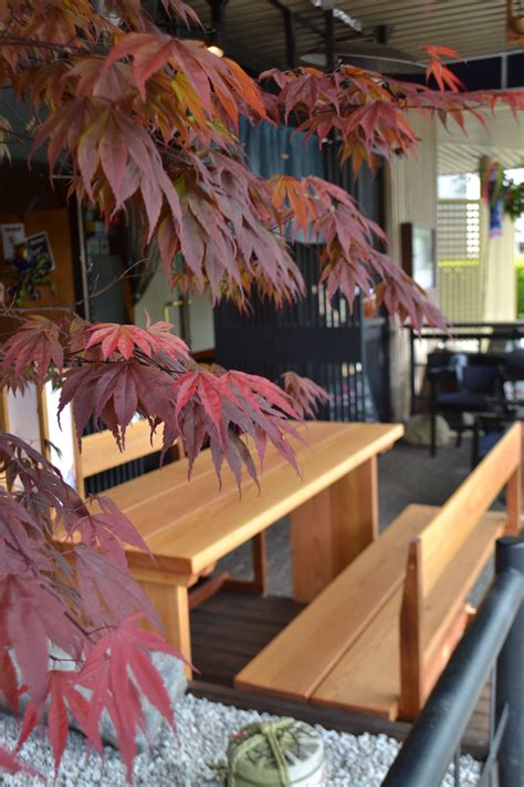 Every piece is poured, finished, and given color to bring it. Octopus Garden Vancouver | Interior spaces, Table ...