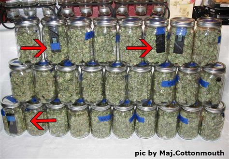 The symptoms can be very quickly resolved if the individual begins smoking marijuana again. Original Guide to Drying and Curing Marijuana Buds | Grow ...