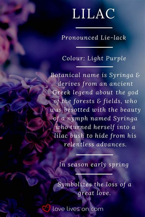 To better understand your dreams, here are few examples of meaning of a flower in a dream. Light meaning. Light purple lilacs symbolize the loss of a ...