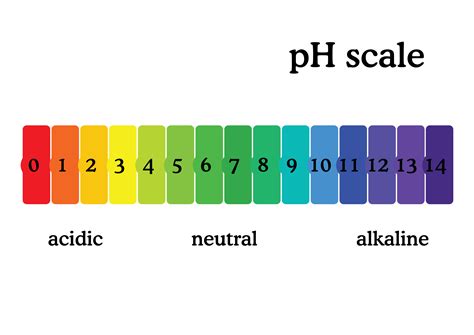 Color Scale Urine Hydration Chart Download Scientific Diagram Urine