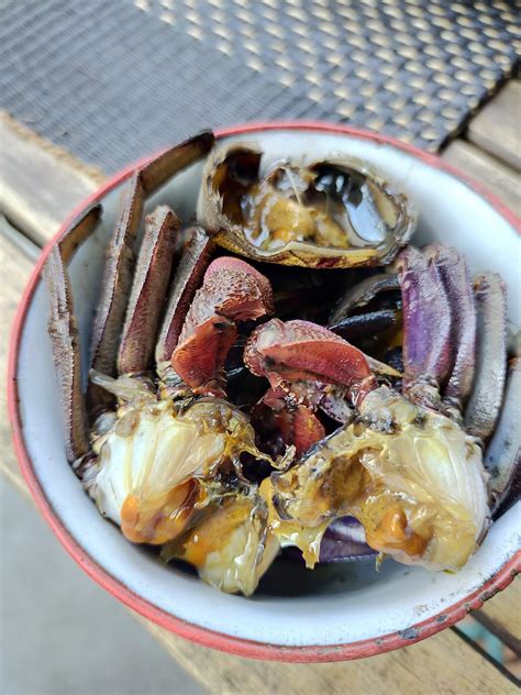 หลนปูเค็ม(salted crab in dipping sauce). 'หลนกะทิปูเค็ม' เครื่องจิ้มครบรส โดย กฤช เหลือลมัย