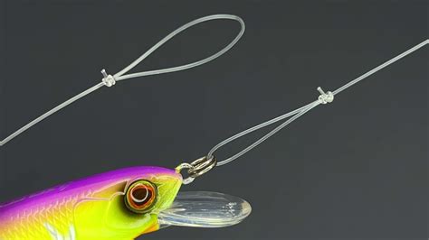 How To Tie A Perfection Loop Knot Fishing Knot Youtube