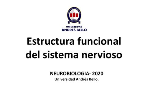 Clase 1 Neurobiologia 2020 Estructura Funcional Del Sistema Nervioso