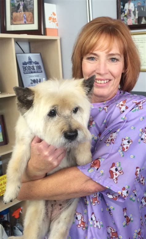 Grooming Salon Idaho | Boise Pet Grooming Services
