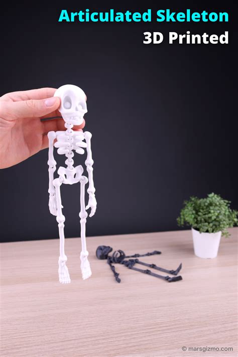 3d Articulated Skeleton 3d Printing Art Model Photo And Video