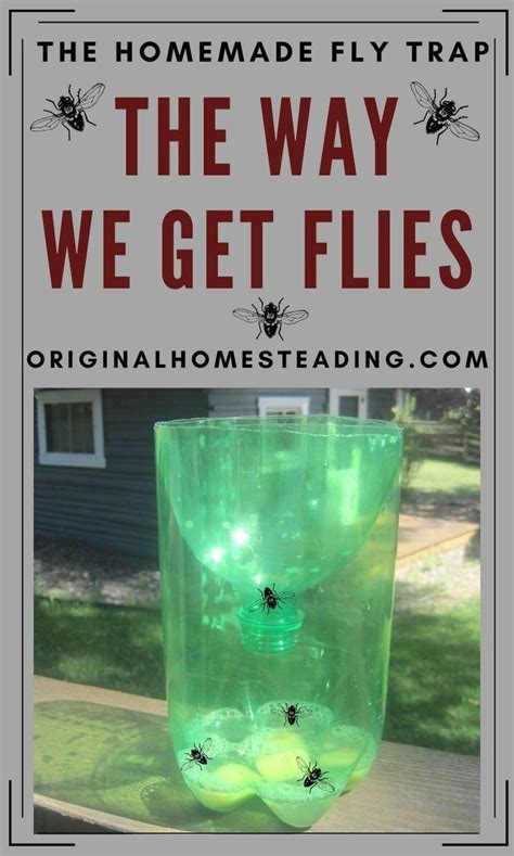 Simple Homemade Fly Trap Diy Project That Works Homemade Fly Traps