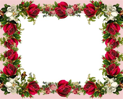 Rose Flower Frame Hd Wallpaper And Free Download Wallpaper By Nadiya