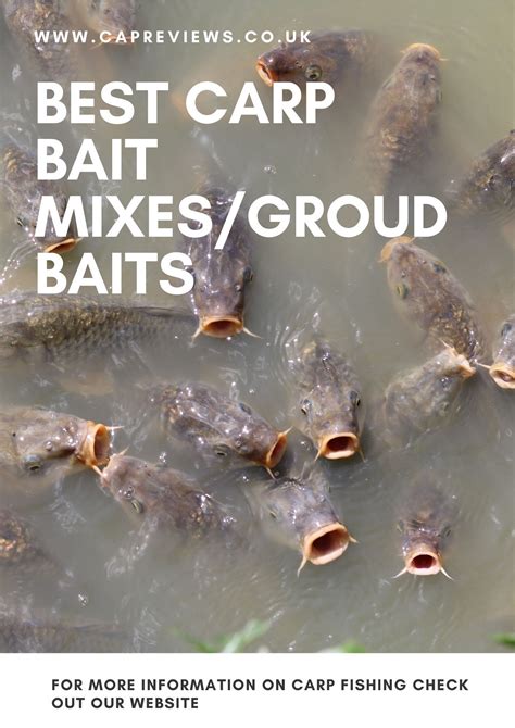 Best Carp Bait Mixes Groundbaits Best Carp Bait Carp Fishing Bait