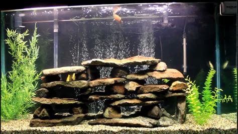 Thousands of original photographs, hundreds of articles, photo contest, tank of the month contest. african cichlid 130 gallon tank rock formation - YouTube