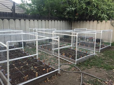 Thinking of raising chickens in your garden? Pin on My Garden