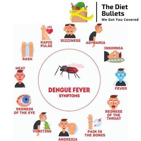 Dengue Symptoms And How To Protect Yourself From The Disease