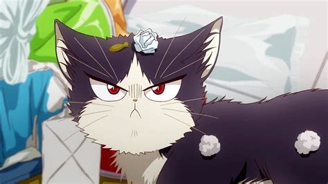 Top 79 Cat Pfp Anime Induhocakina