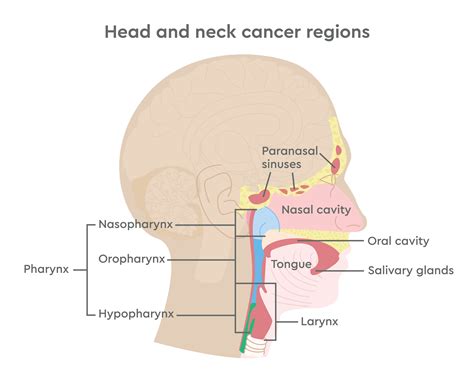Genesiscare Head And Neck Cancer