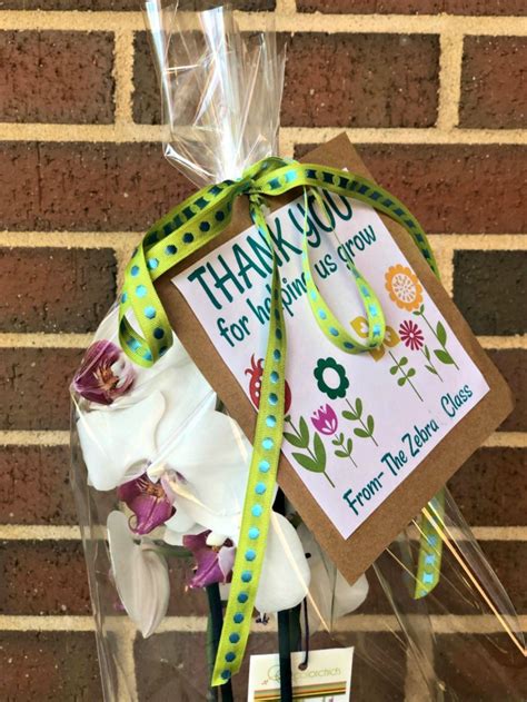 Maybe you would like to learn more about one of these? Thoughtful and Practical Teacher Gift - Thank You For ...
