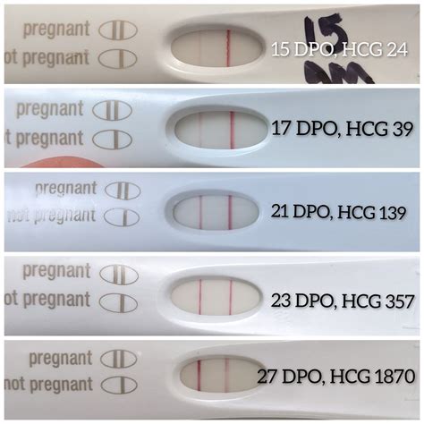 Hcg Levels 18 Dpo