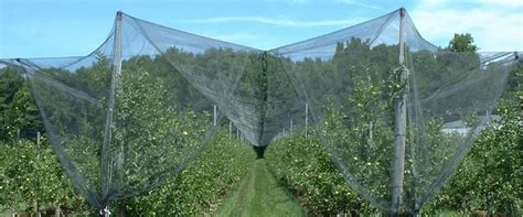It will be easier to get in to harvest and cause less damage to the plant as you lift off the. Hail Netting Protecting Your Crops, Fruit Trees and Gardens