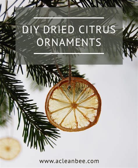 Dried Citrus Diy Christmas Ornaments Natural Christmas Decor Easy