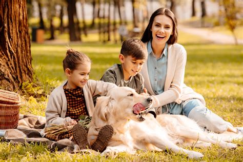 Maybe you would like to learn more about one of these? Pet Friendly Cabins In Branson Mo - cabin