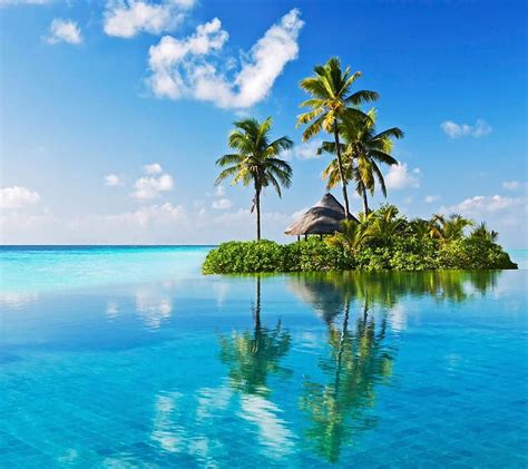 Summer Island Blue Ocean Reflection Sky Trees Water Hd Wallpaper