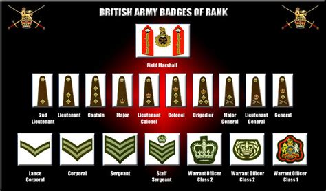 Ww2 The Second World War British Army Insignia Of Rank