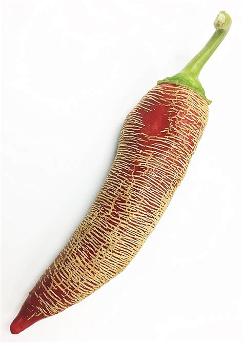 Albanian Red Hot Aci Kirmizi Arnavut Heirloom Pepper Premium Seed