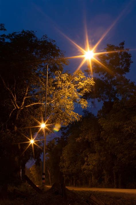Lights Lanterns And Car Headlights On Twilight Stock Image Image Of