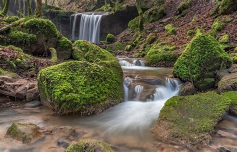 4k 5k Butzerbach Valley Germany Forests Stones Waterfalls Moss