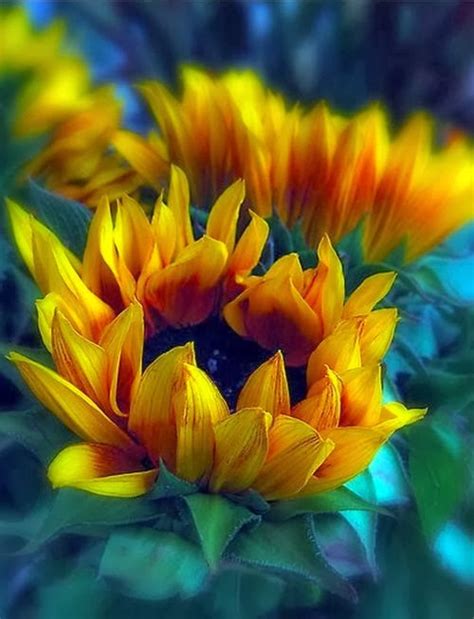 Sunflowers Fantastic Materials