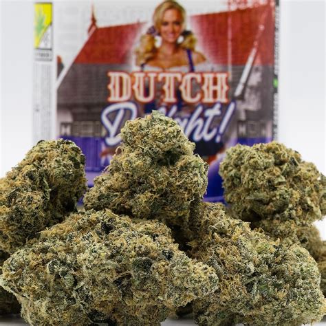 Dutch Delight Leafly