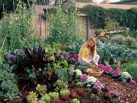 * herbs and vegetables * * cilantro * basil * onions * tomatoes. Free plan: Your cool-season vegetable garden - Sunset Magazine