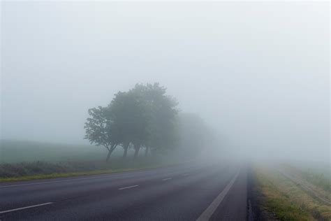Free Images Tree Grass Horizon Fog Road Mist Morning Highway