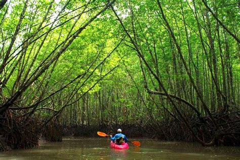 2023 Deep Mangrove And Canyon Kayak Tour In Krabi