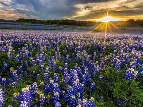 6 Of The Most Gorgeous Spring Destinations In The Us