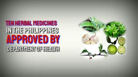 10 Herbal Medicines In The Philippines Approved By The Department Of Health Doh Khao Ban Muang