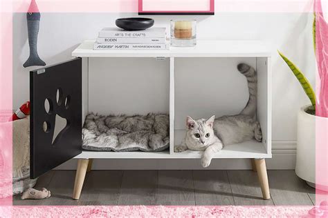 8 Cat Beds That Double As Furniture