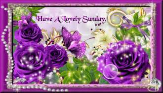 ~wt~ Lovely Sunday Purple Roses Wallpaper Purple
