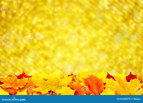 Autumn Leaves On A Gold Stock Image Image Of Clean October 53188575